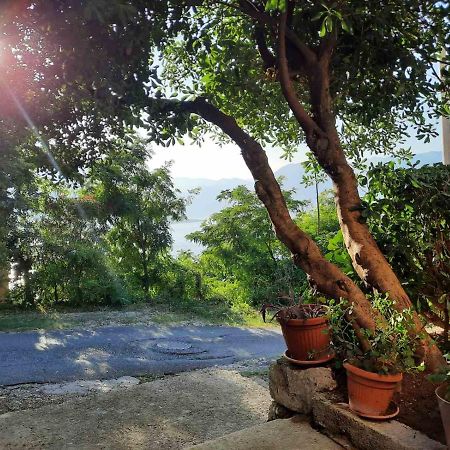 Blue Shell Apartments Kotor Ngoại thất bức ảnh