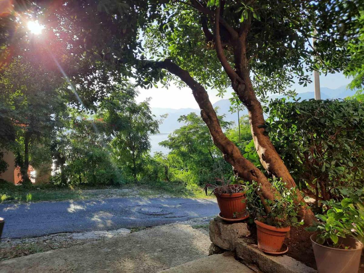 Blue Shell Apartments Kotor Ngoại thất bức ảnh