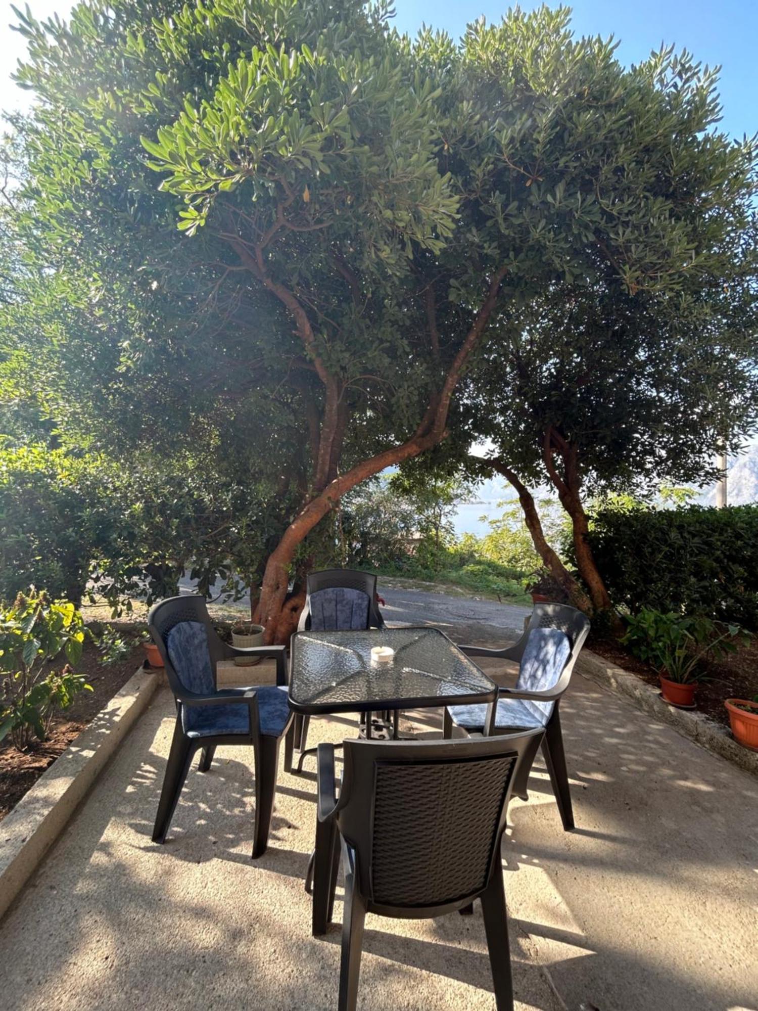 Blue Shell Apartments Kotor Ngoại thất bức ảnh
