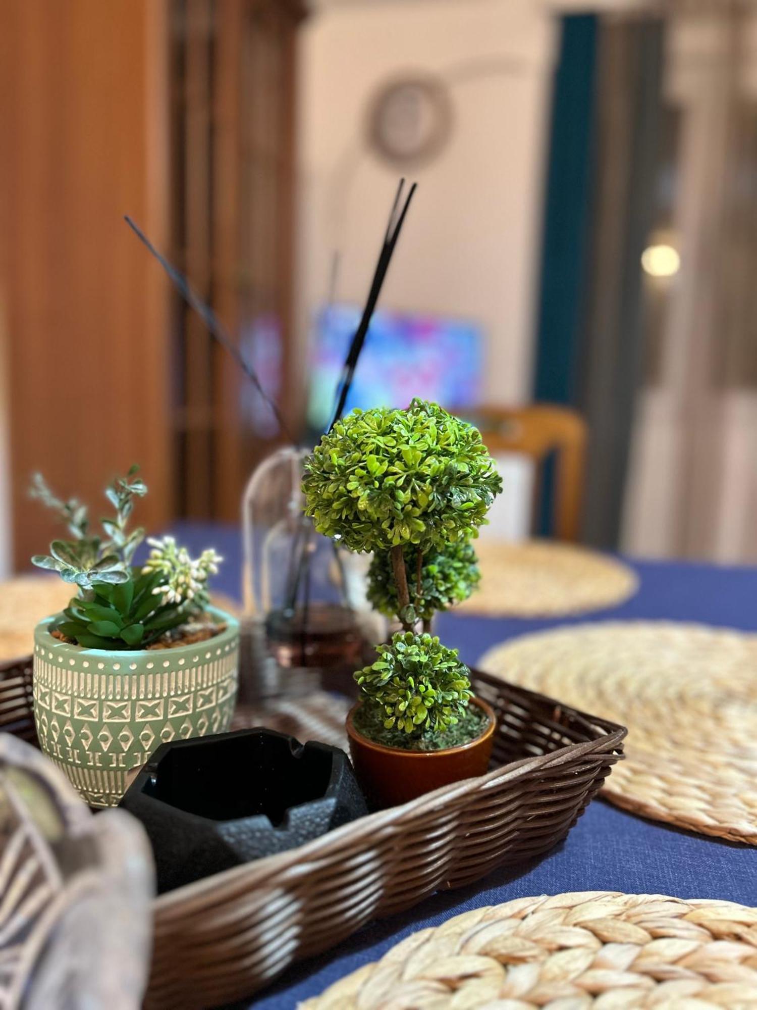 Blue Shell Apartments Kotor Ngoại thất bức ảnh