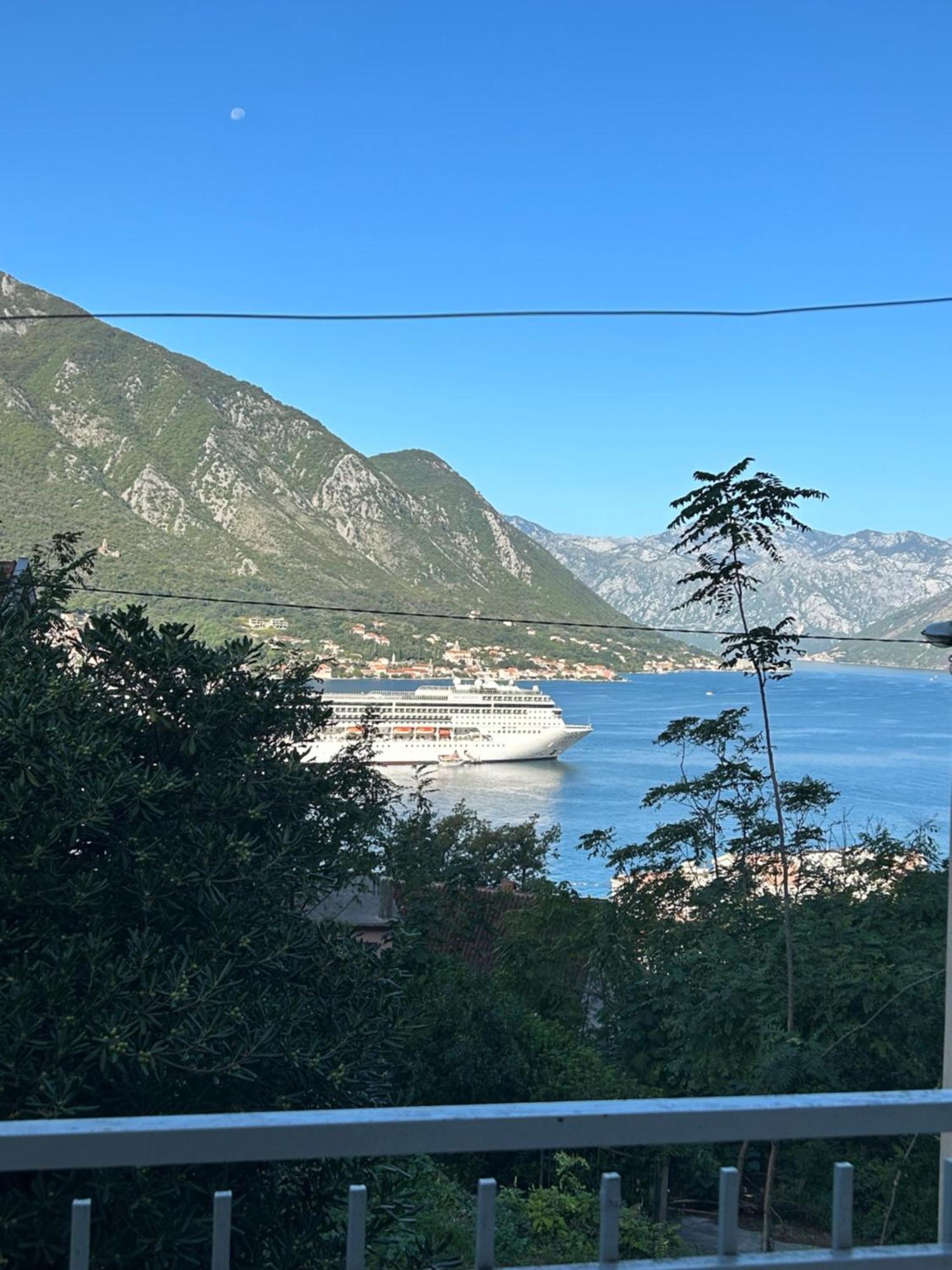 Blue Shell Apartments Kotor Ngoại thất bức ảnh